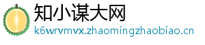 知小谋大网